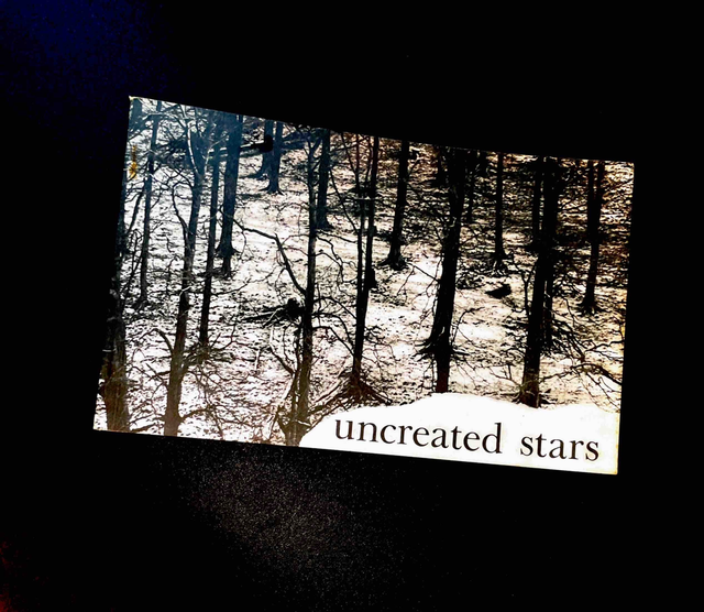 uncreated stars - Tina Morris