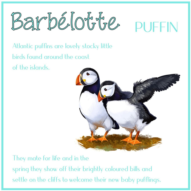 101 CARD PATOIS BARBELOTTE