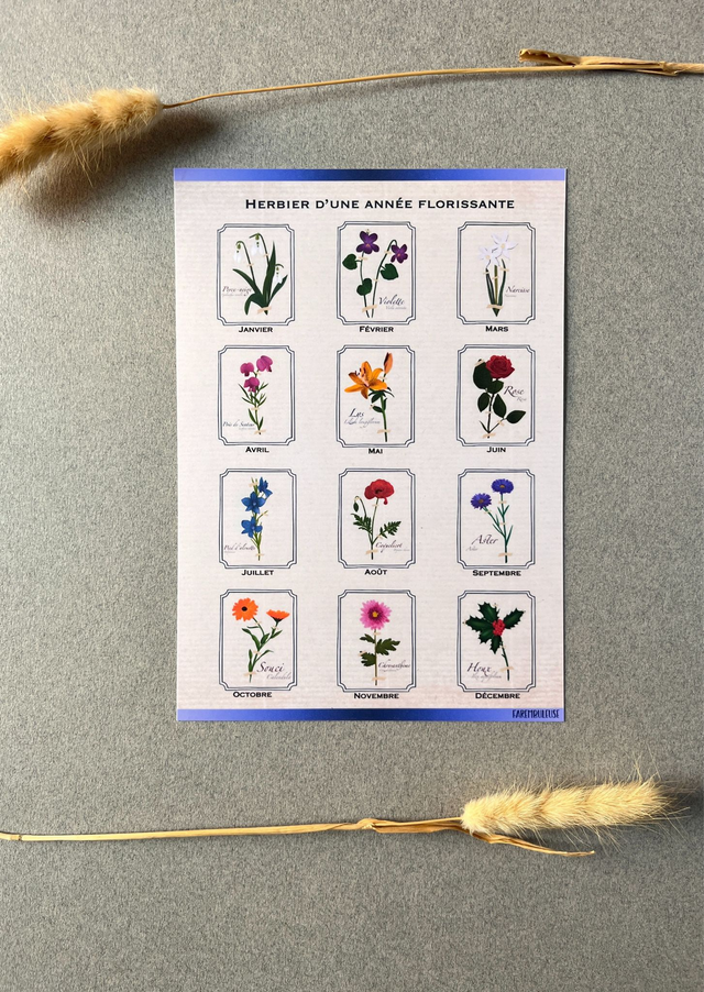 Affiche bonus. L'herbier d'une année florissante