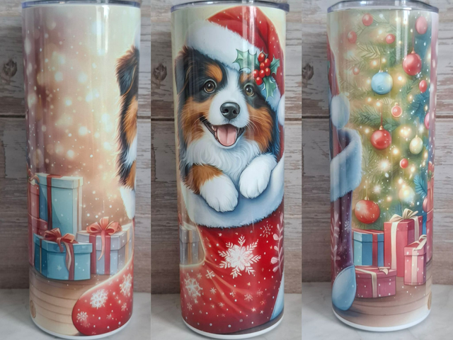 Gourde Canette berger australien de noel