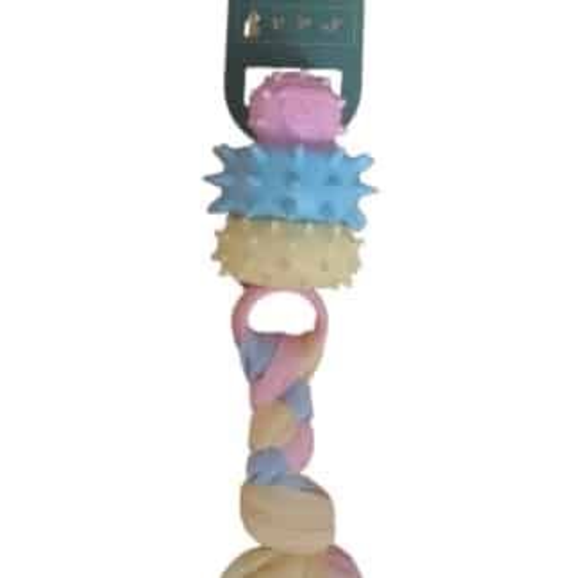 Puppy dental pacifier