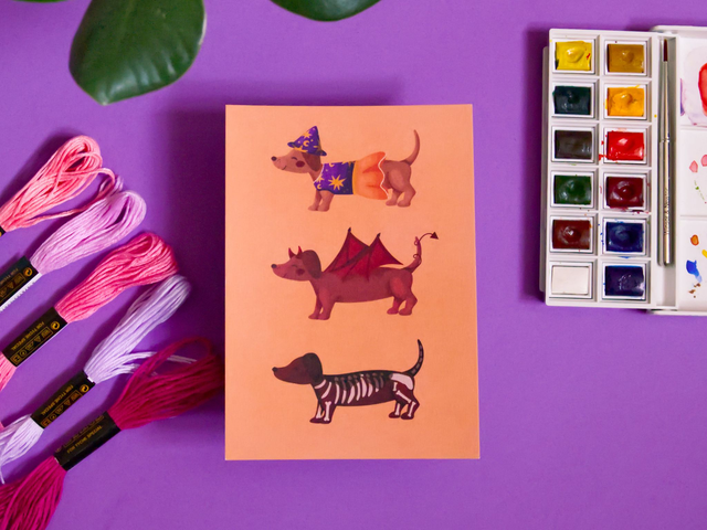 Teckels sous couverture