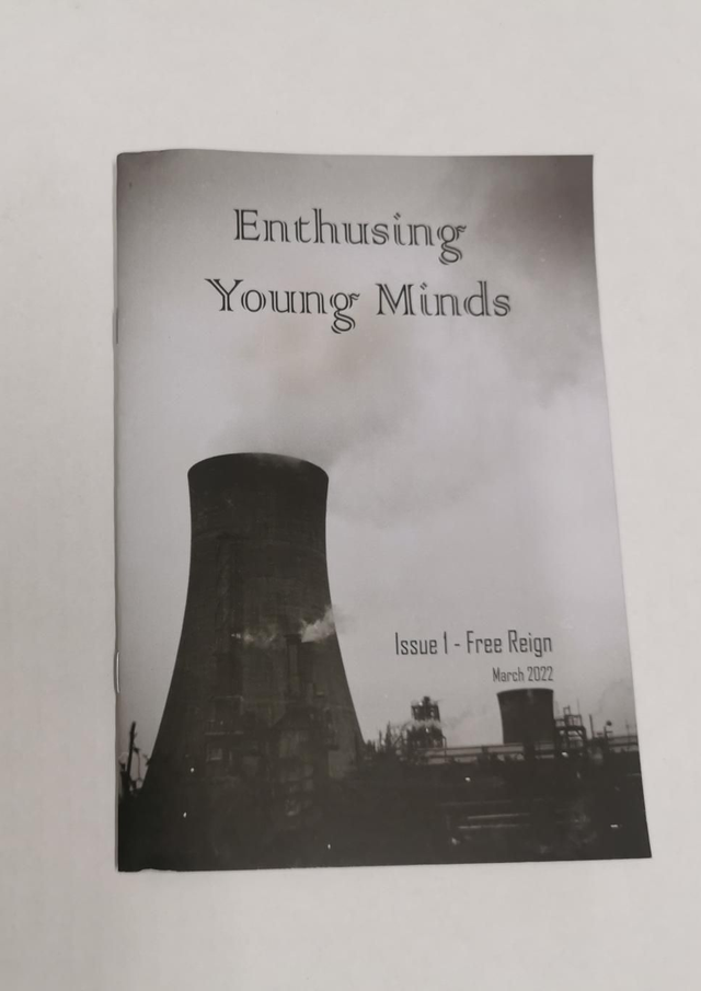 Enthusing Young Minds Zine Issue 1 - Free Reign