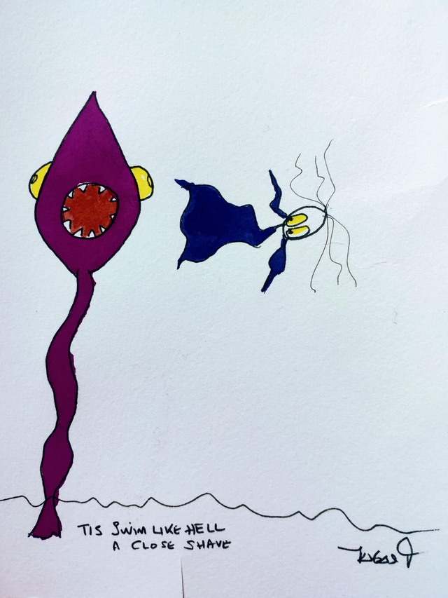 Tis a Close Shave, Swim like Hell 