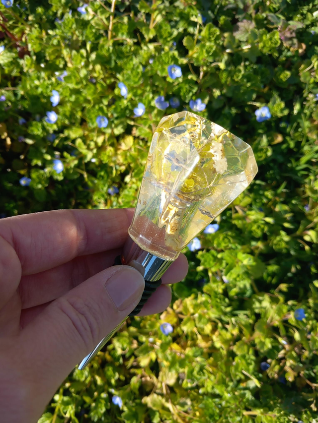 Bouchon de vin lotus