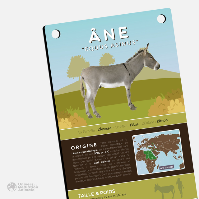 Panneau pédagogique - "L'Âne"