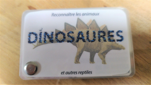 Les carnets de Pierre - Les dinosaures