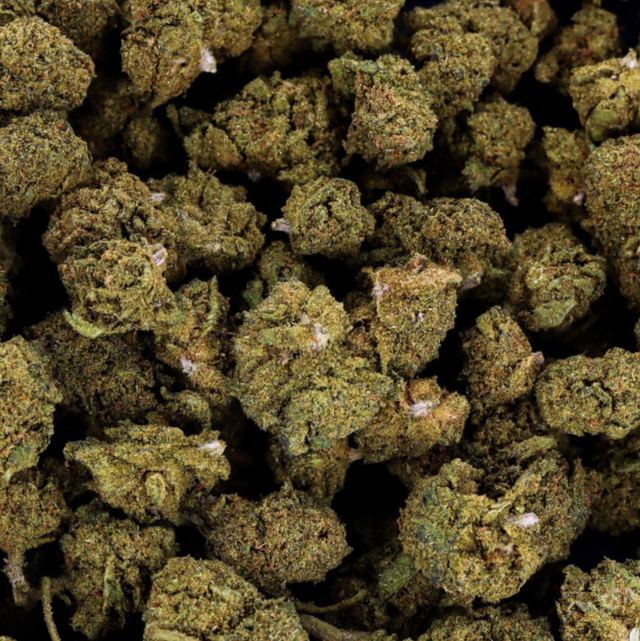 Fleurs CBD Ice Cream Hydroponique