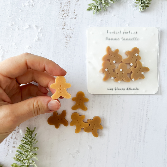 Fondant parfumé - Collection Noël - Pomme Cannelle