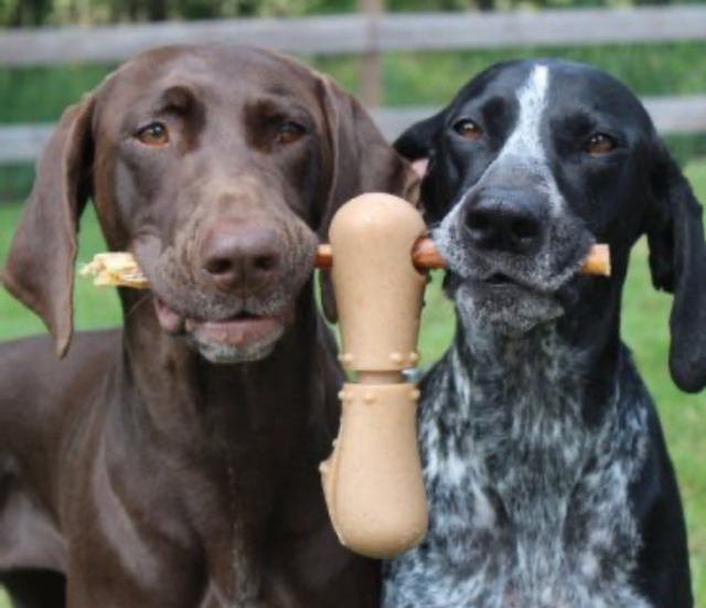 Tall Tails Long Lasting Bully Stick Holder
