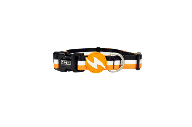 Stripes 3 Orange & Black collar