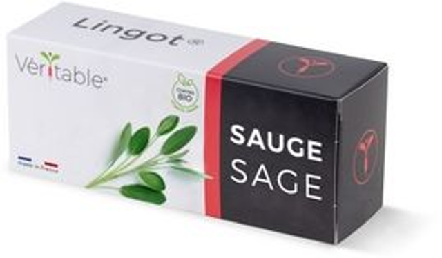 Véritable Lingot Sage - Organic