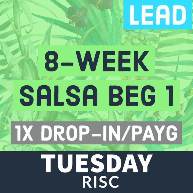 BEG 1Drop-in TUE - LEAD
