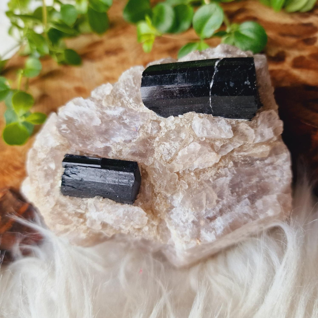 Black Tourmaline In Quartz 509g