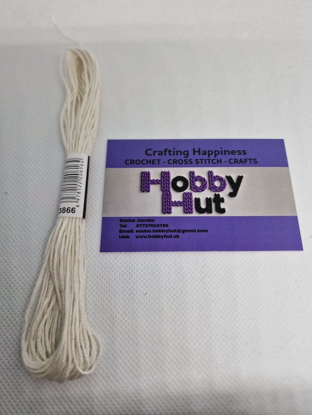 Embroidery Thread - 3866