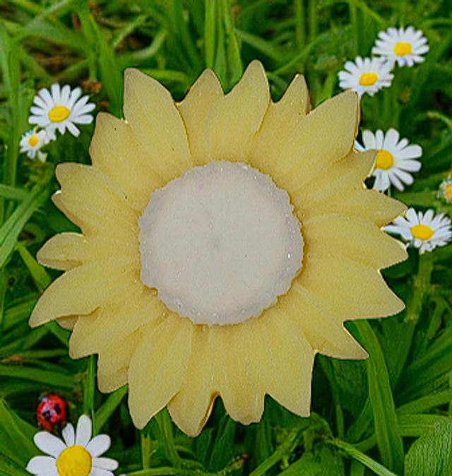 Fondant parfumé "Vanille épicée"