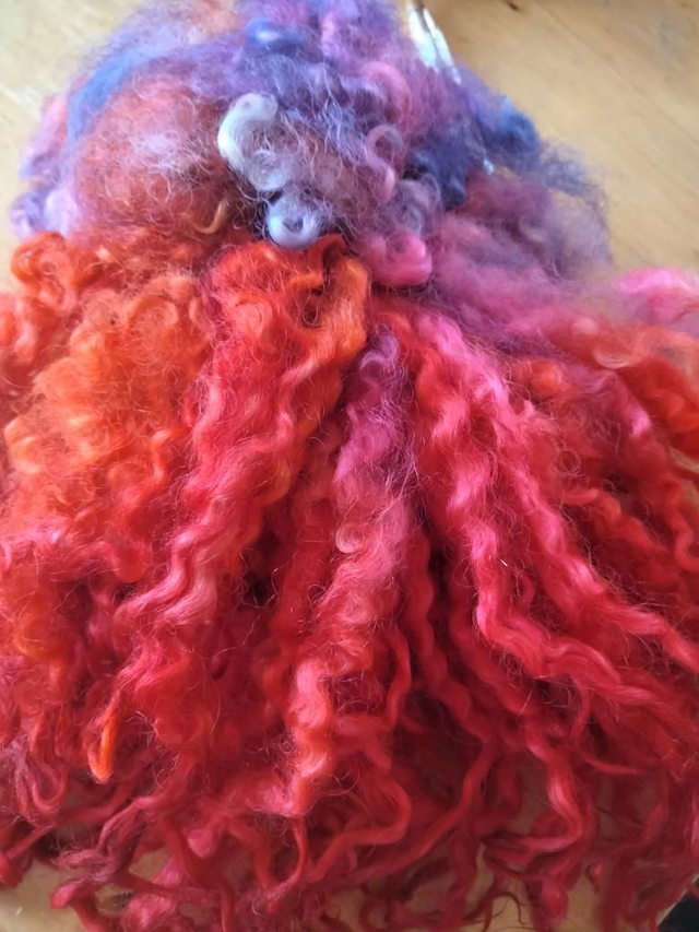 Boucles0124 Teeswater anglais 30g