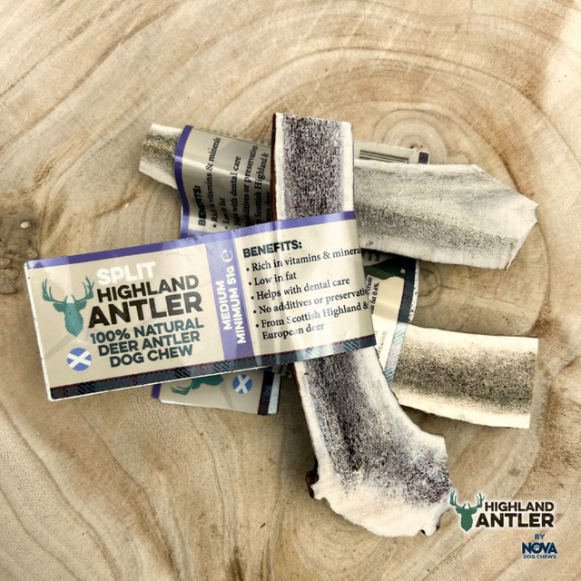 Antler Split Medium