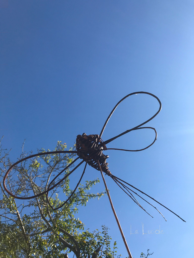 Initiation à la sculpture d'osier - Libellules et papillons