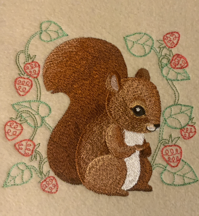 Squirrel ( woodland )