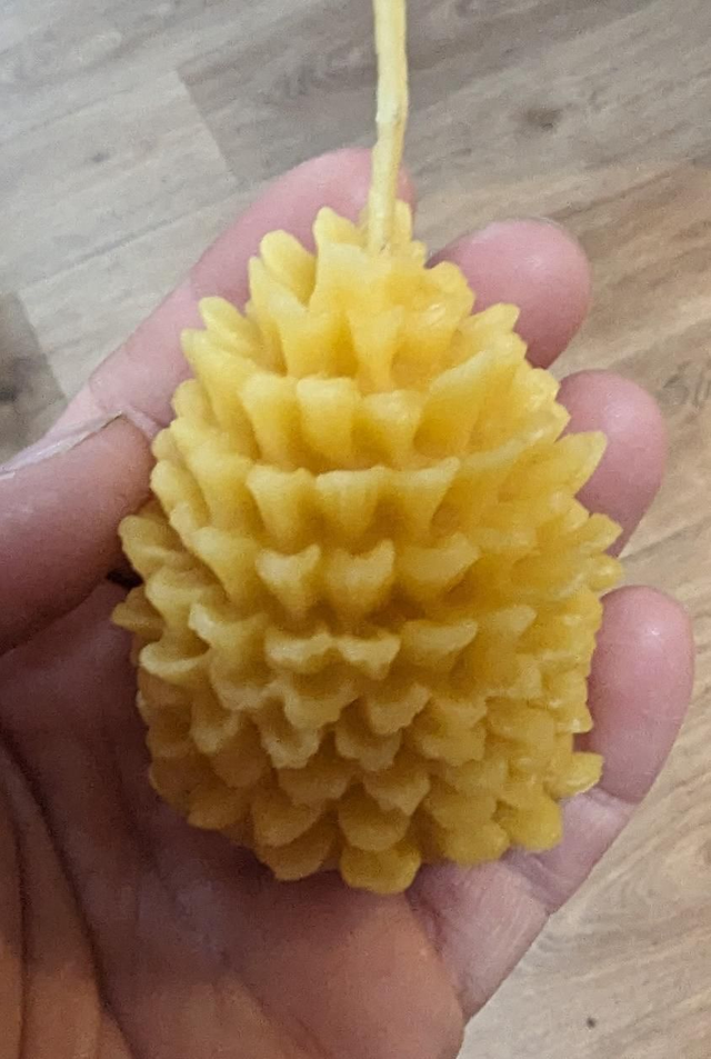 Pinecone beeswax candle 