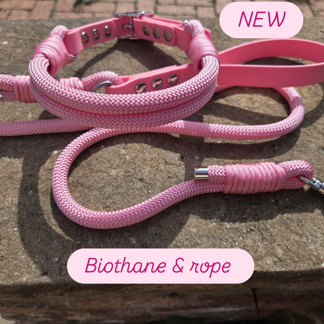 Plain biothane/rope collar and lead