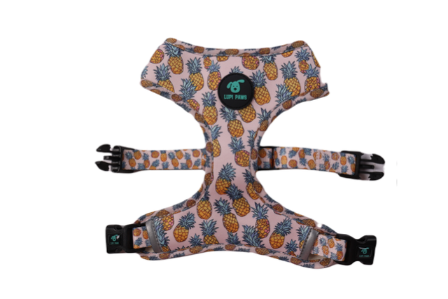 Pineapple Reversible Harness (Lupi Paws)