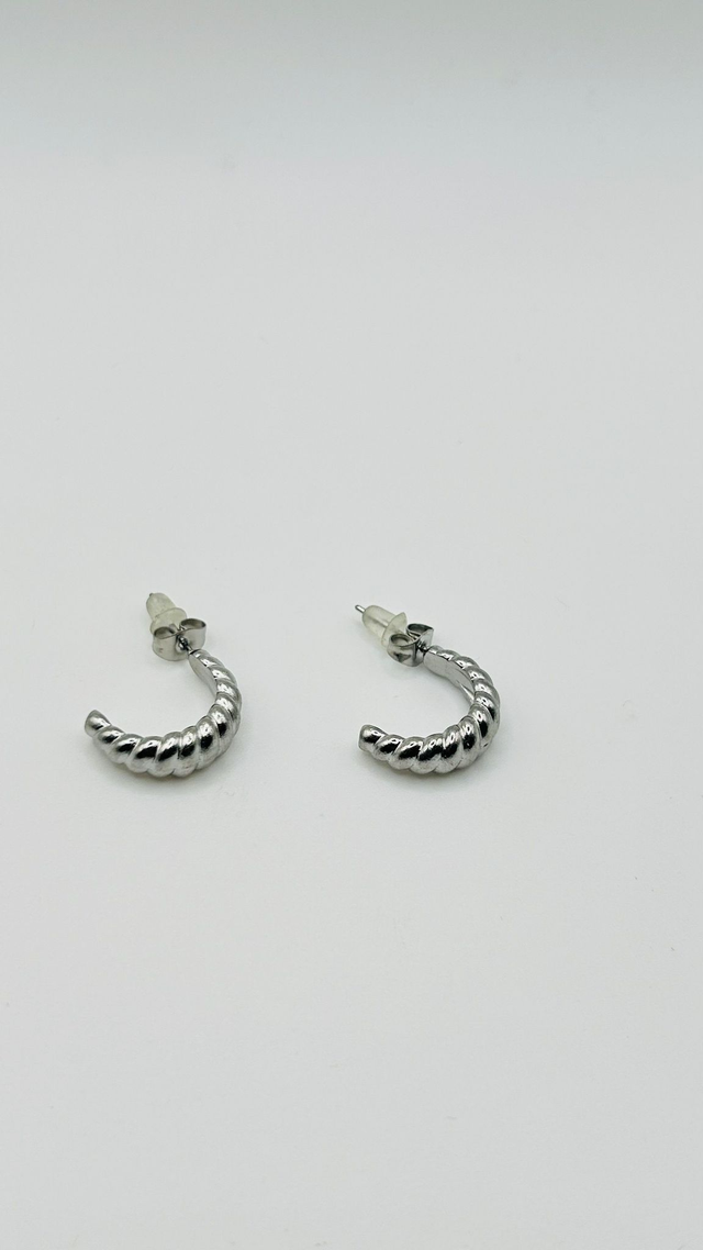 Stainless Steel Earrings (SSE73J)