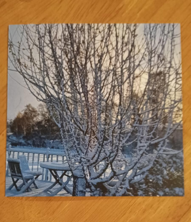 Snow on the decking greetings card