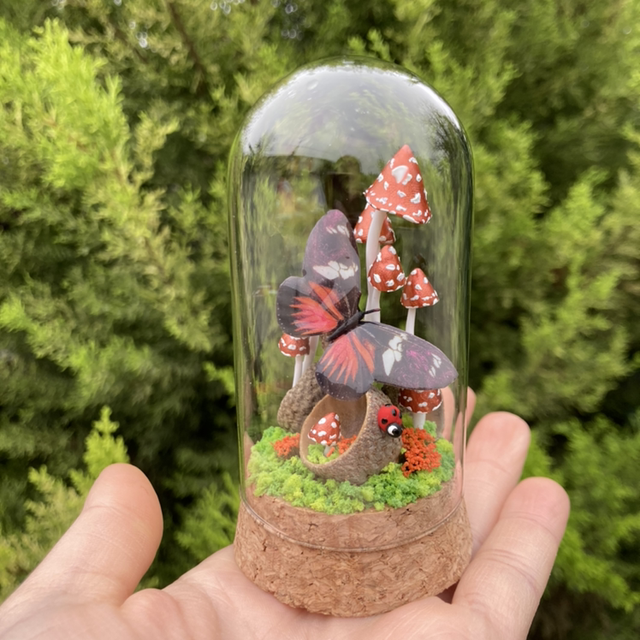 Papillon rouge noir champignons cuivre