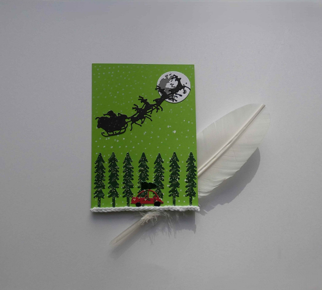 À la recherche du sapin de Noël