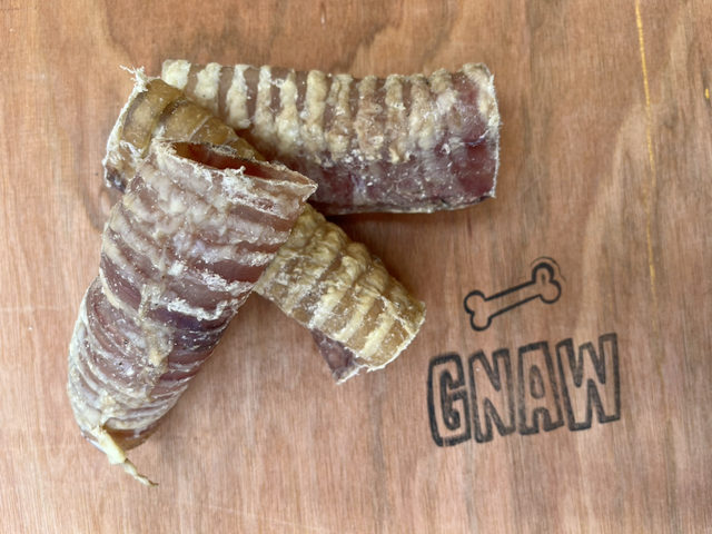 Beef Trachea (Small - approx 15cm) 