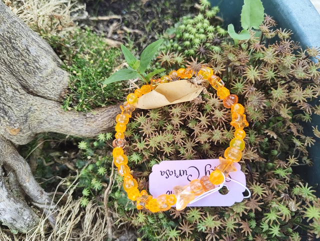 orange bracelet 
