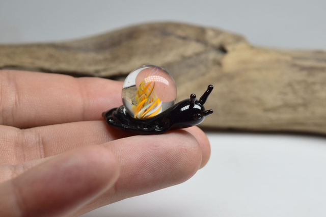 ESCARGOT NOIR IMPLOSION ORANGE