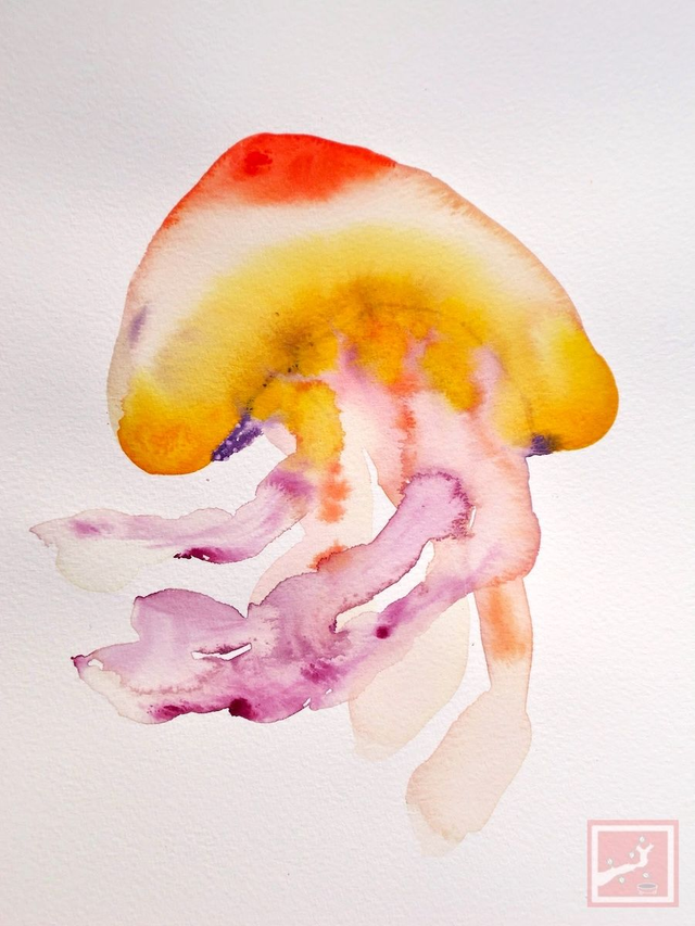 jellyfish