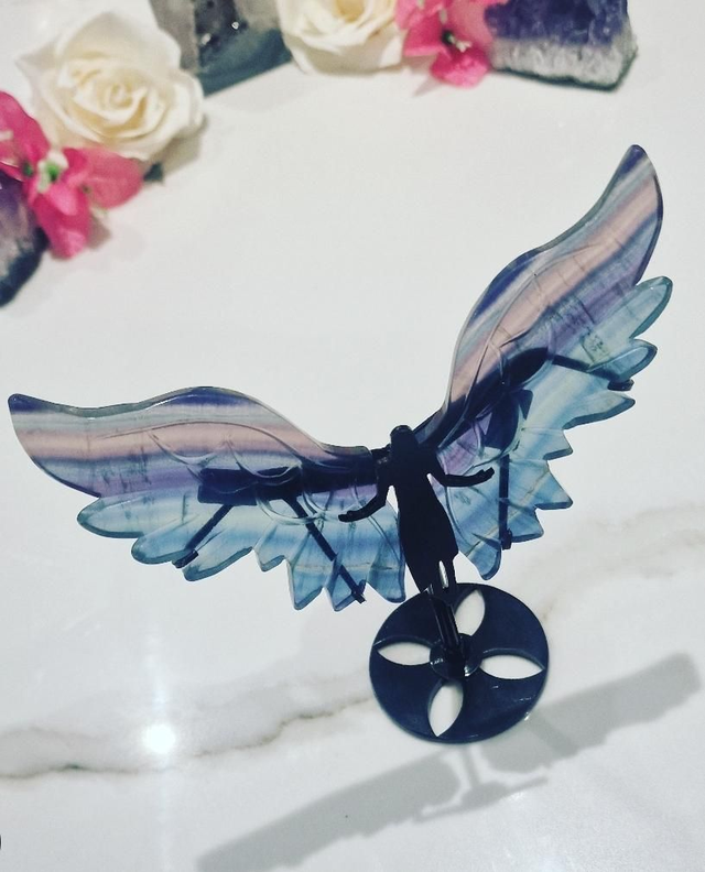 Angel Wings On Stand : Rainbow Fluorite