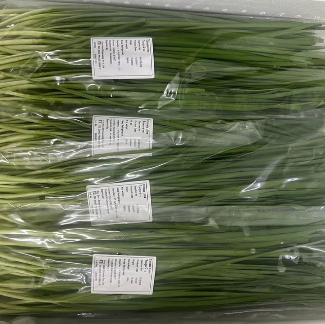 Chinese Chive กุ่ยช่าย