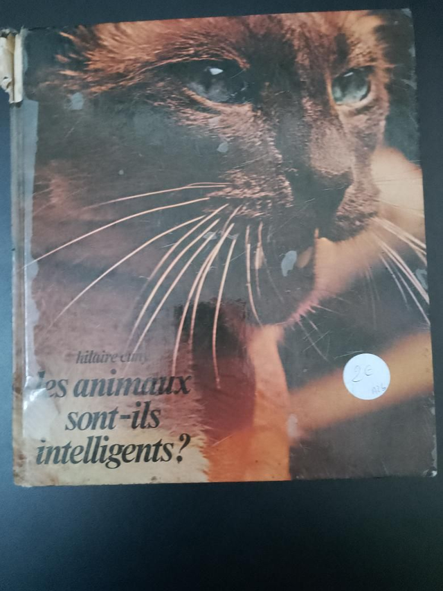 Les animaux sont-ils intelligents ? Hilaire Cuny