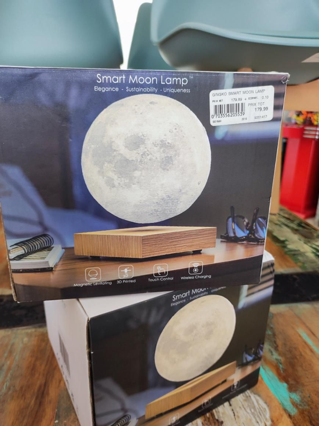 GINGKO SMART MOON LAMP