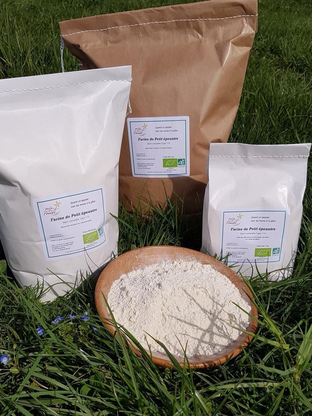 Farine bio de petit épeautre (ou engrain) T110