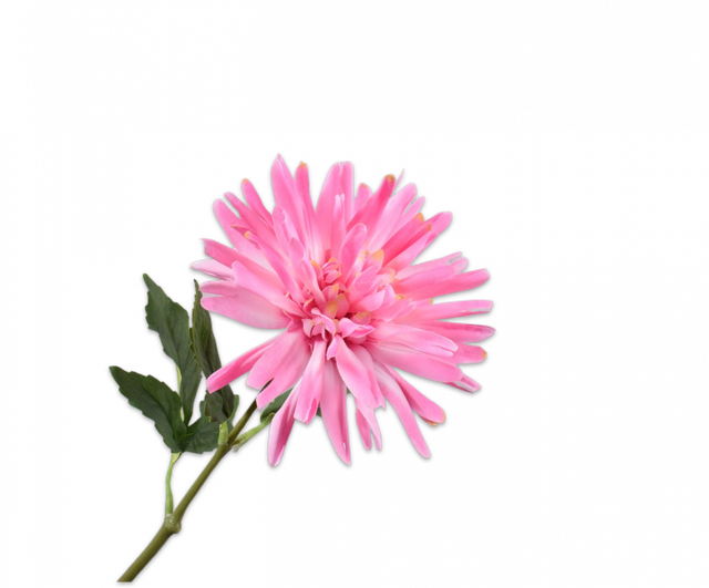 Silk-Ka Dahlia Steel Roze 