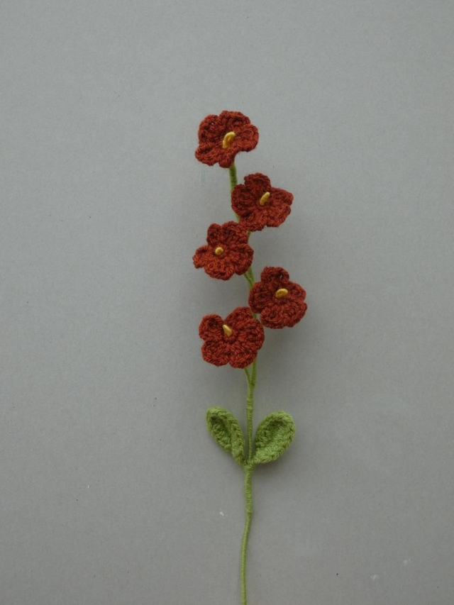 Tige de myosotis marron clair