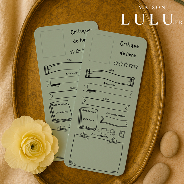 Marque page, Signet critique de livre, 11 couleurs