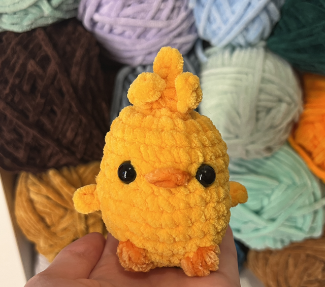 Poussin 🐥 