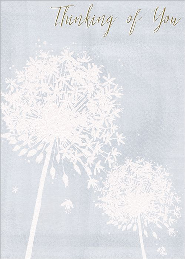 THINKING OF YOU B010