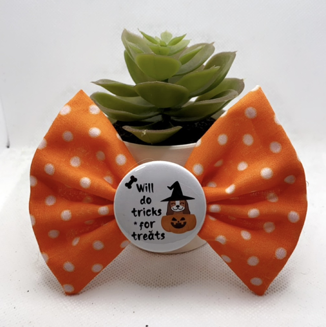 Will do tricks for treats bow