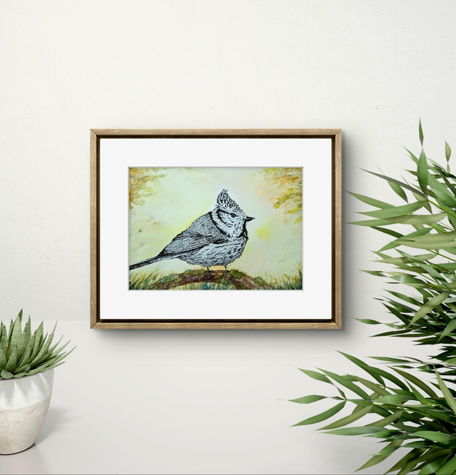 Mésange huppée sur papier