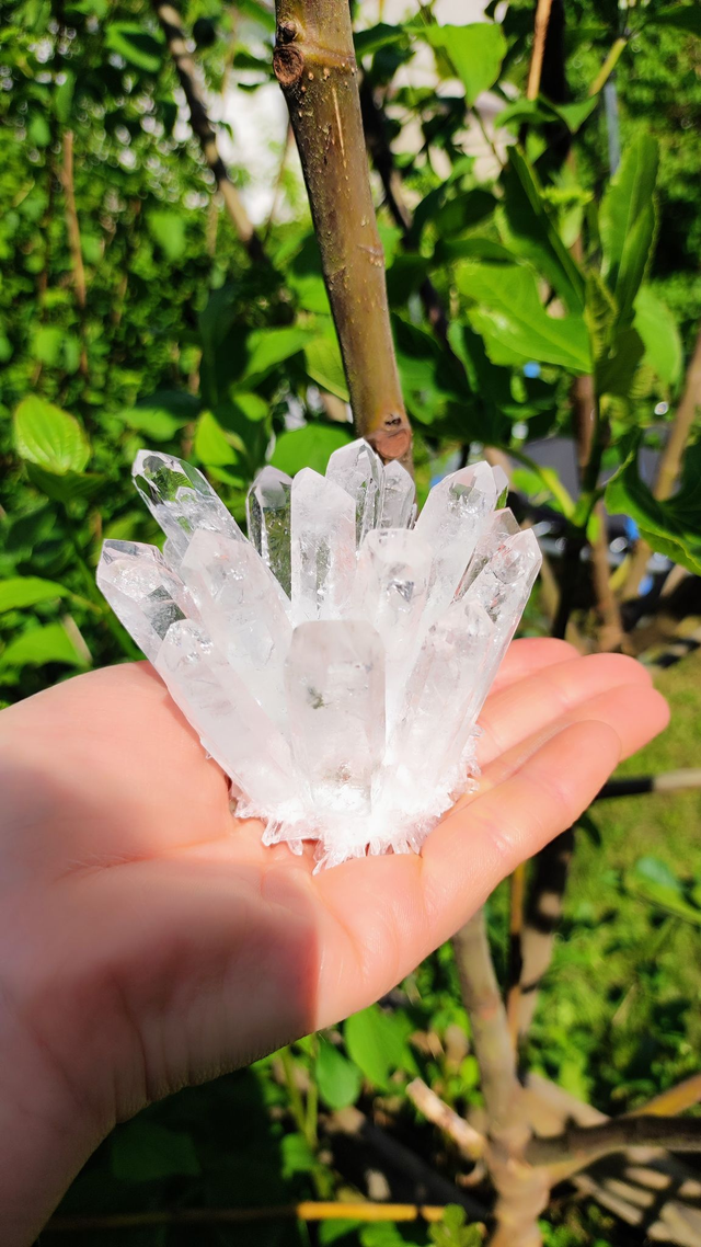 Druse de Cristal de roche