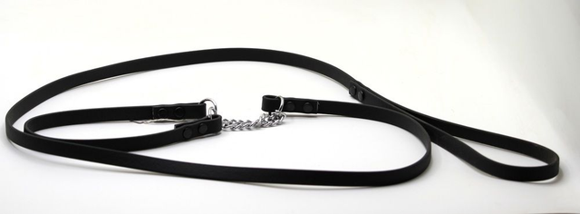 Laisse de présentation 