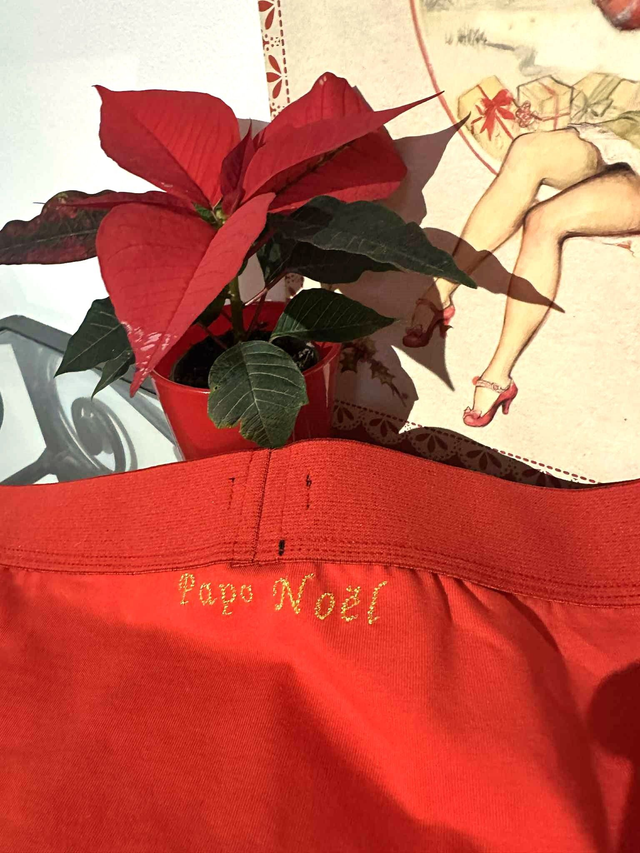 Pack sous-vêtements brodés Noël couple